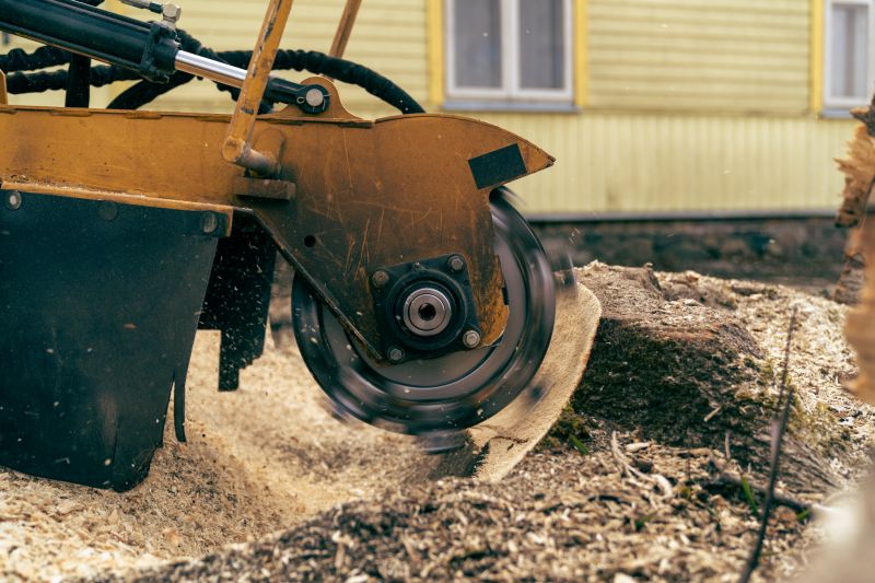 Bush Stump Grinding in Waldorf, MD
