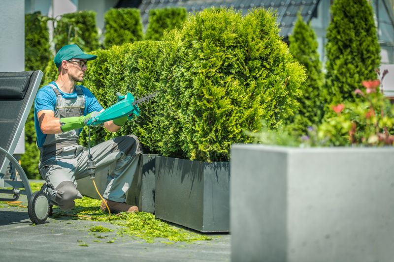 Commercial Shrub Trimming in Ventura County, CA