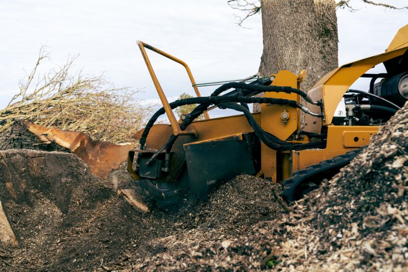 Commercial Stump Grinding in Aiken, SC