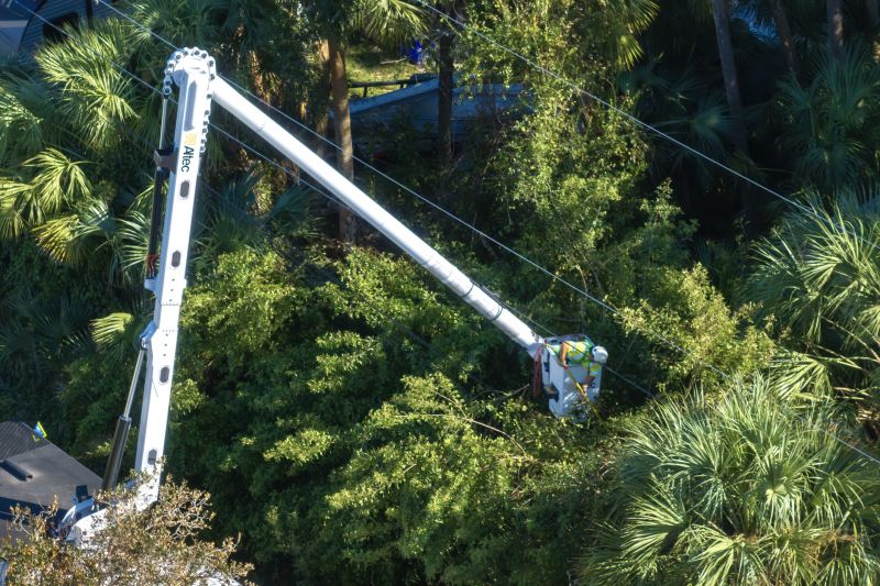Commercial Tree Trimming in Duluth, MN