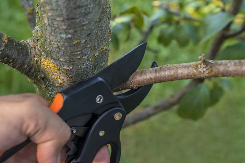 Tree Pruning Costs
