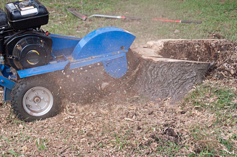 Stump Grinding Prices