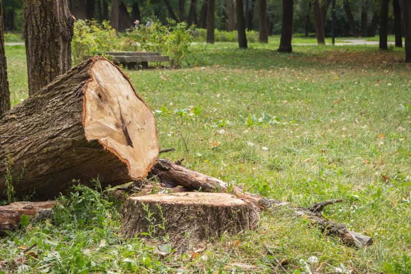 Dead Tree Removal in Montgomery County, PA