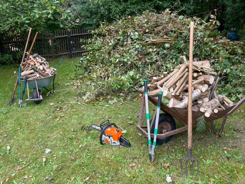 Clearing Debris from Driveway