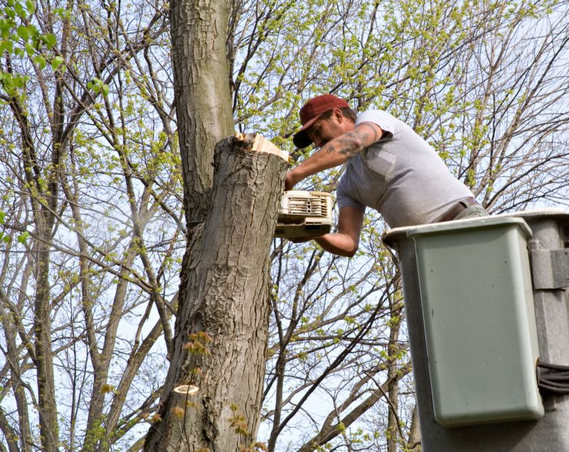 Local Tree Service