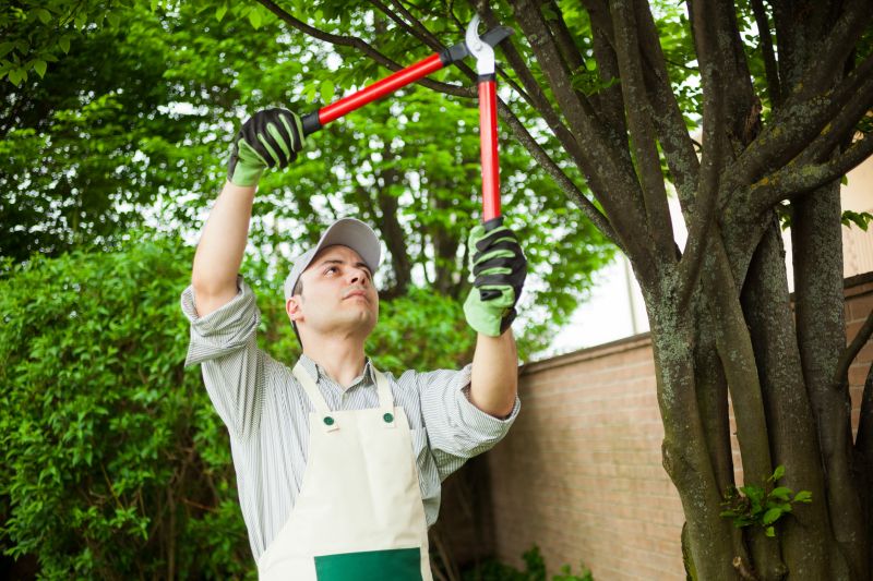 Peach Tree Pruning in Pottstown, PA