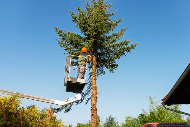 Products For Local Tree Service in use