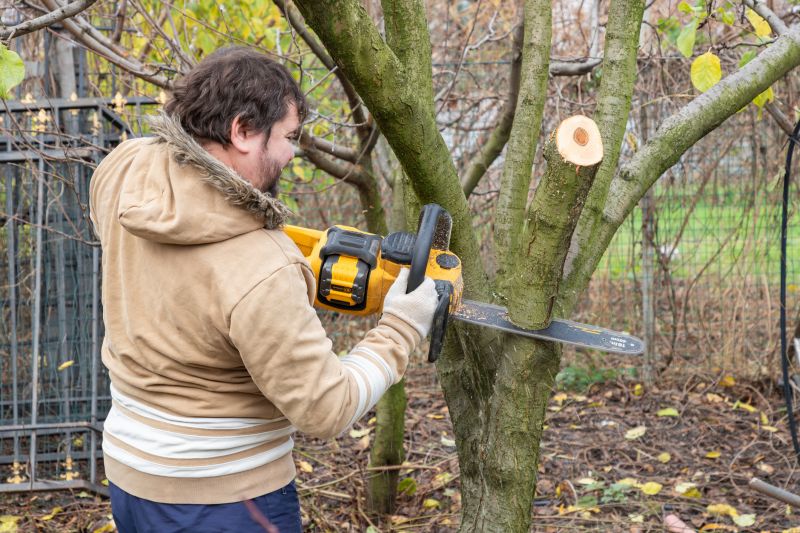 Residential Tree Service in San Jose, CA