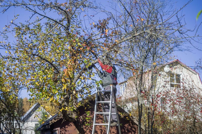 Residential Tree Service in Montgomery County, PA