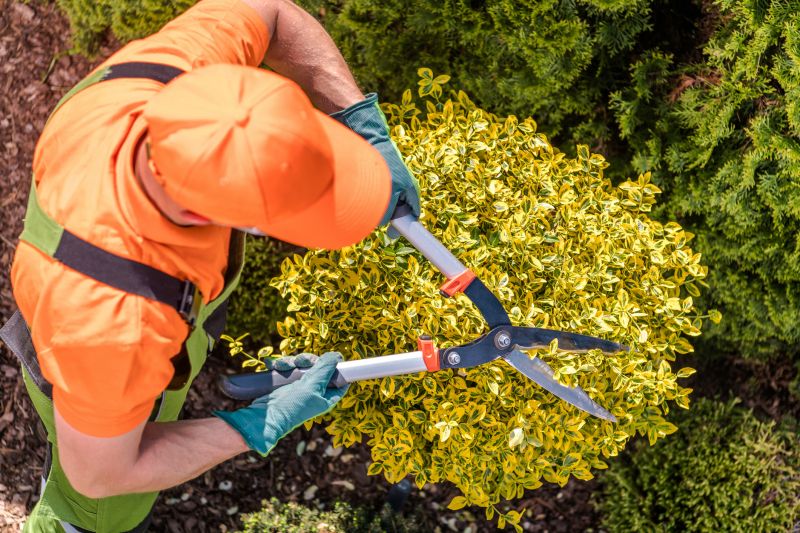 Shrub Pruning in Rockwall, TX