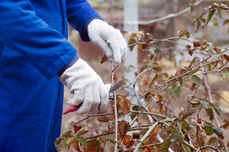 Shrub Pruning in Rockwall, TX