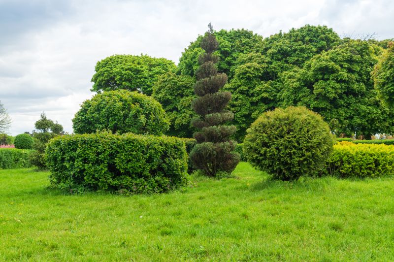 Shrub Shaping in Ventura County, CA