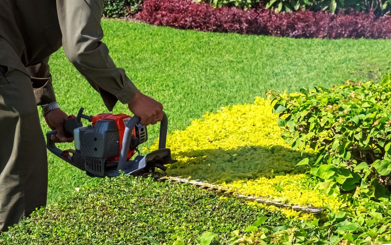 Shrub Trimming in Aiken, SC