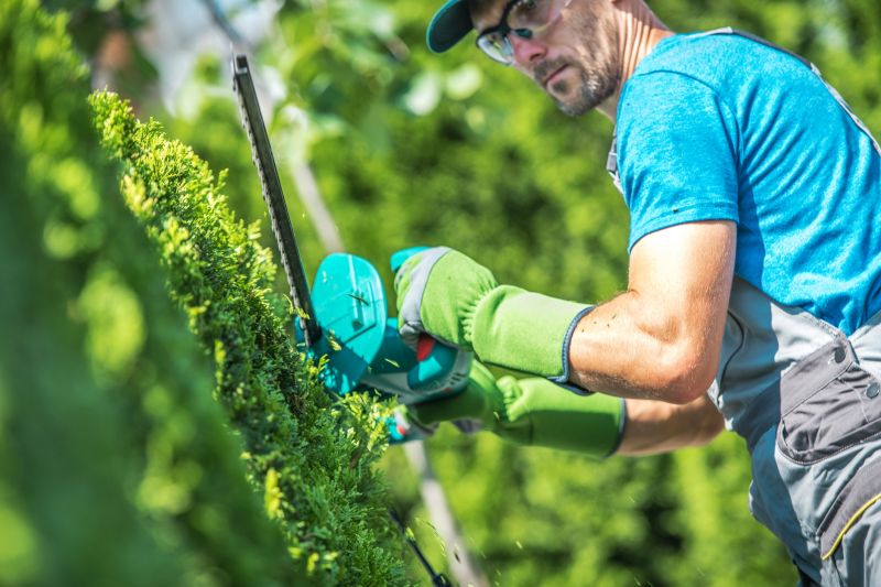 Shrub Trimming in Rockwall, TX