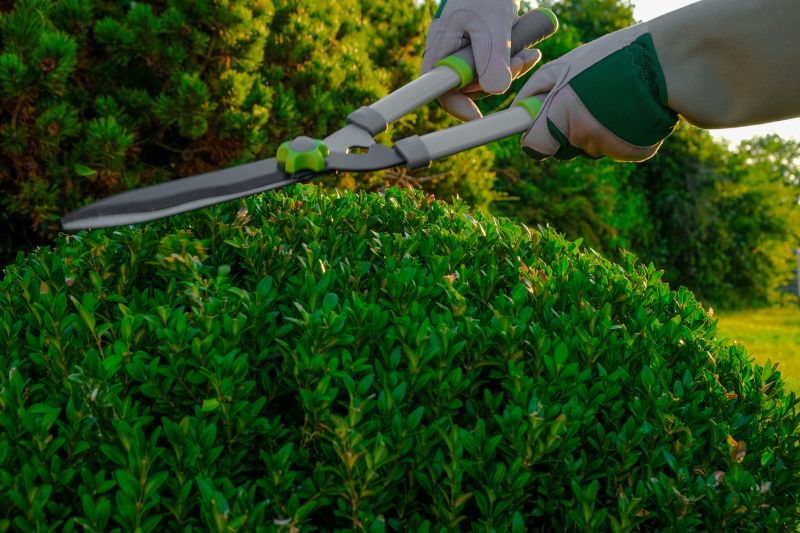 Topiary Shaping in Ventura County, CA
