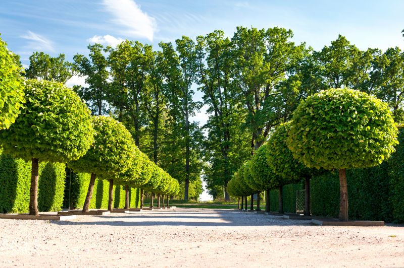 Topiary Shaping in Honolulu, HI