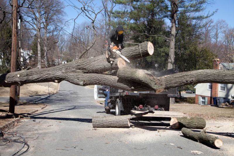 Tree Removal Service in Aiken, SC