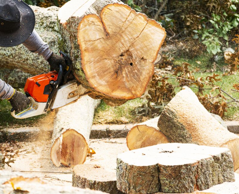 Tree Removal Service in Bucks County, PA