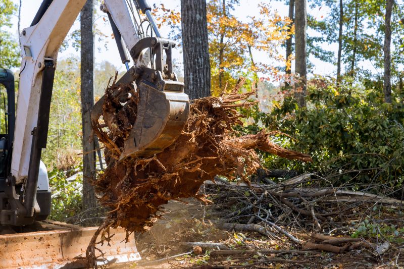 Tree Trunk Removal in Aiken, SC